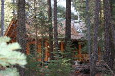 cabin in the woods.jpg