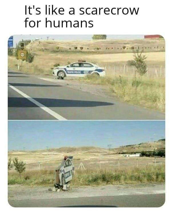 1744897710006.png