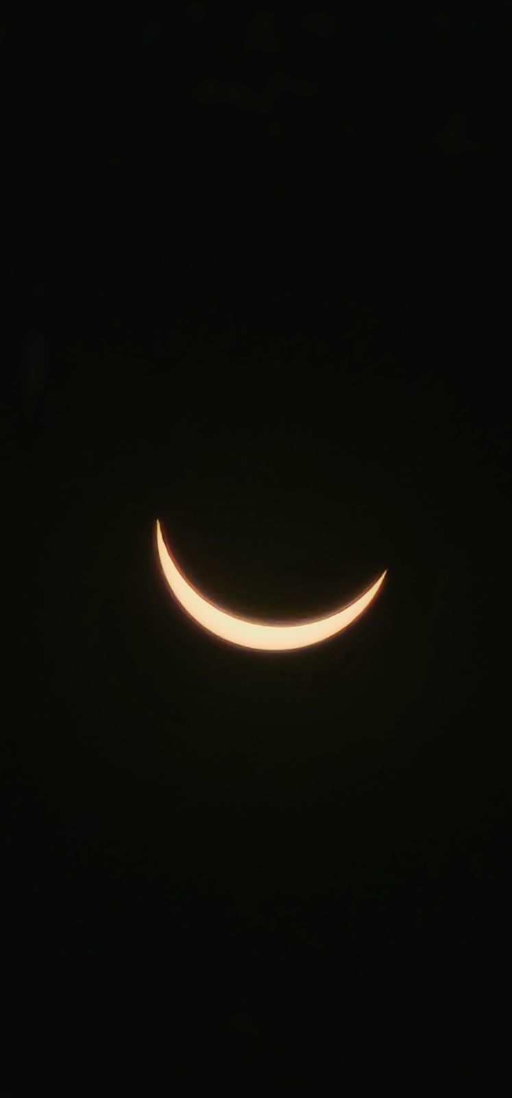 EclipseApril0825-6.jpg