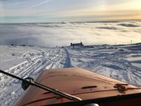 Timberline cat at Silcox1.jpg