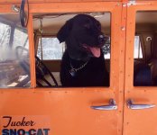 Mt Adams Sno-Cat dog.jpg