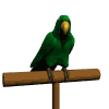 Parrot.gif