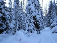 Heavy Snow In Ranch Trail.jpg