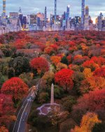 AwesomePic2022-21_centralPark.jpg