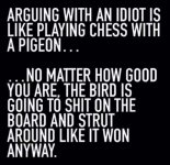 arguing-idiot-chess.jpg