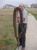 Big Snake 9 feet, 1 inch - 97 lbs.jpg