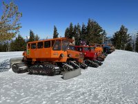 IMG_6124.jpeg