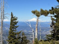 IMG_6173.jpeg