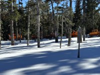 IMG_6226.jpeg