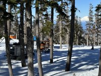 IMG_6239.jpeg