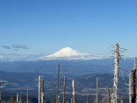 IMG_6268.jpeg