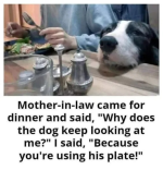 1743523500561.png