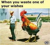 FB_IMG_1744157572040.jpg