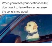 IMG_9996.jpeg