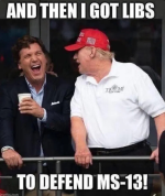 1744983862509.png
