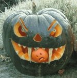 pumpkin 1.jpg