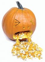 pumpkin 5.jpg