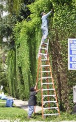 490100807ladder-stacking.jpg