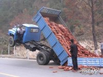 3490100807dump truck dummy.jpg