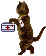 nursekitty.gif