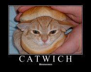 catwich.jpg