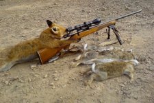 Foxhunting.jpg