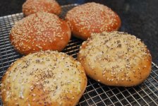 Honey whole wheat buns 012713-1.jpg