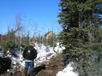 Big blackbear tracks, about four hundred pounds by the size of footprints (6).jpg