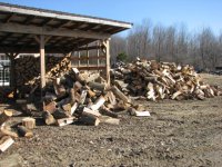 woodpile 2012 005.jpg