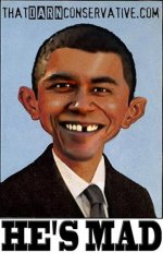 alfred-e-obama (Medium).jpg