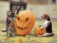 Halloween Dog & Cat (400 x 299).jpg