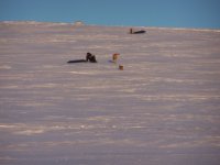 snow cat sledding 003.jpg