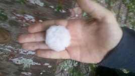 Hail 5-21-11.jpg