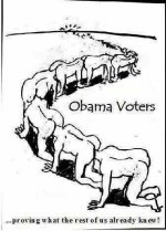 obama voters.jpg