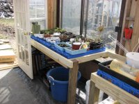 latest greenhouse 001.jpg