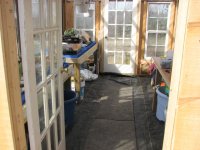 latest greenhouse 007.jpg