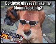 Obama dog.jpg