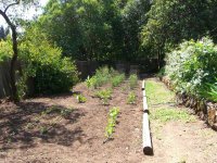 Garden1588.jpg