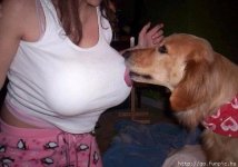 titty hound.jpg