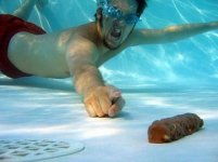 Pool_Turd.jpg