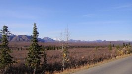 Snow capped Mt. McKinley in the background.jpg