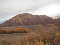 Toklat Valley colored mountains..jpg