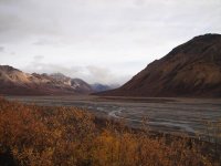 Looking North on the Toklat river drainage.jpg