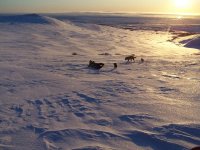 snow cat sledding 005.jpg