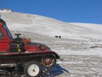 snow cat12 009.jpg