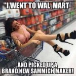 WalmartBrandNewSammichMaker.jpg