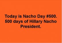 NachoDay500.JPG