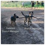 BranchManager.jpg