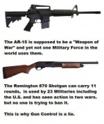 AR15vsRemington870Shotgun.jpg