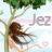 Jezzi